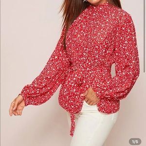 Ditsy Floral Print Pleated Lantern Sleeve Top